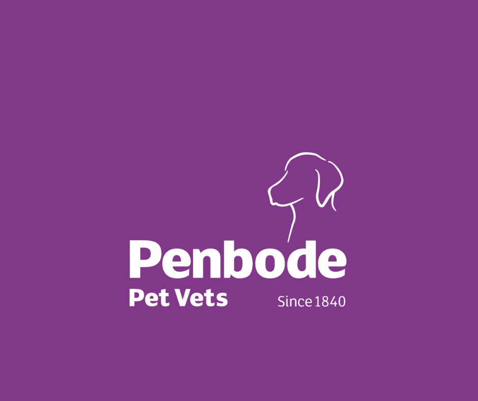 Penbode pets logo