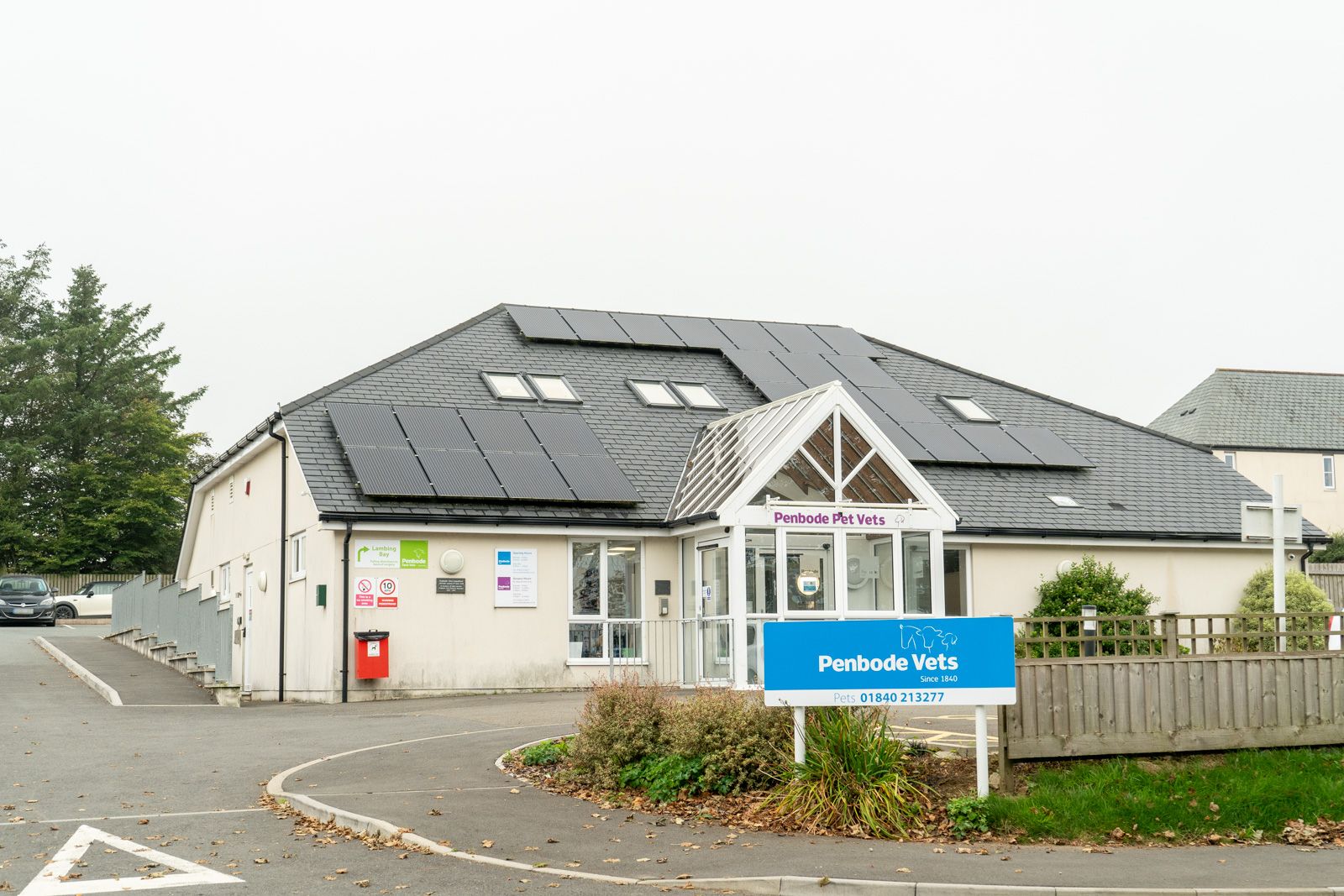 Camelford building pets