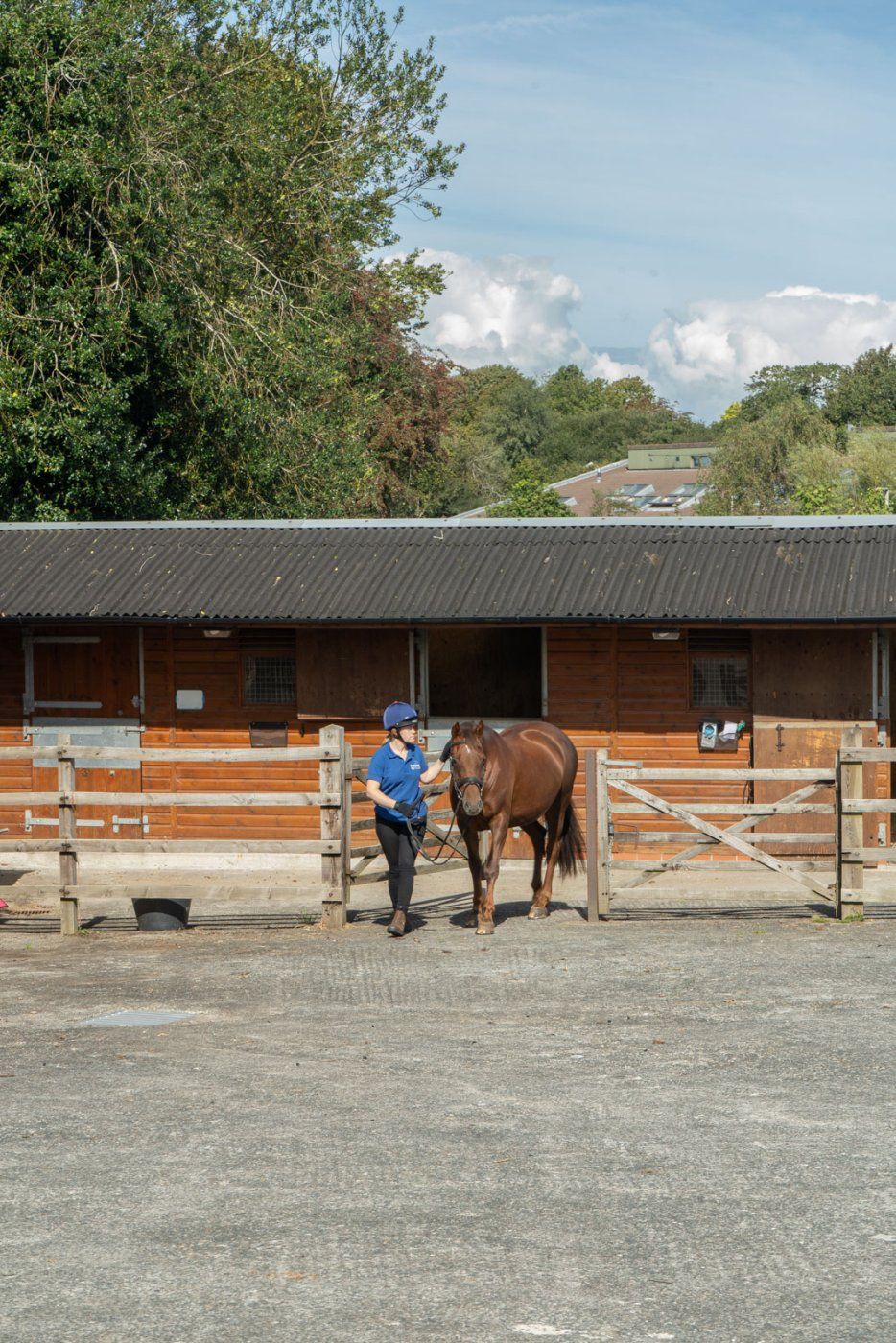 Equine building 