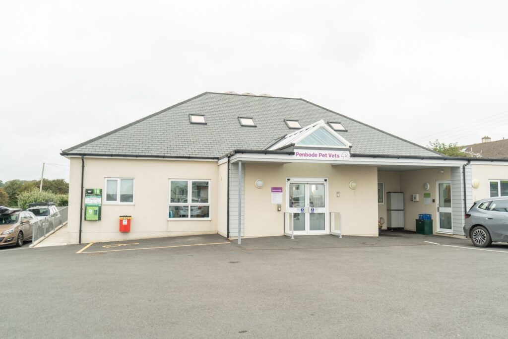 Stratton Pets Building