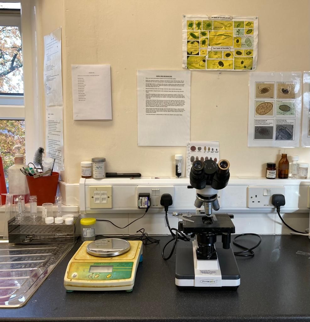 in house lab for sheep