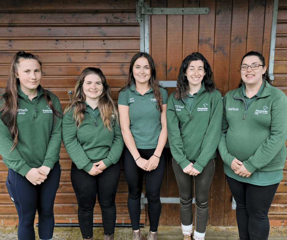 vettech team