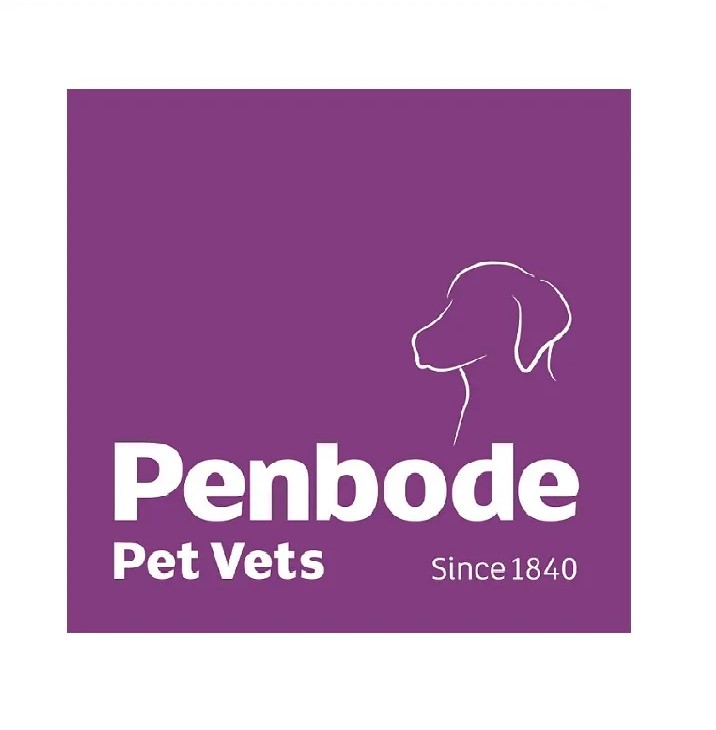 Penbode_purple
