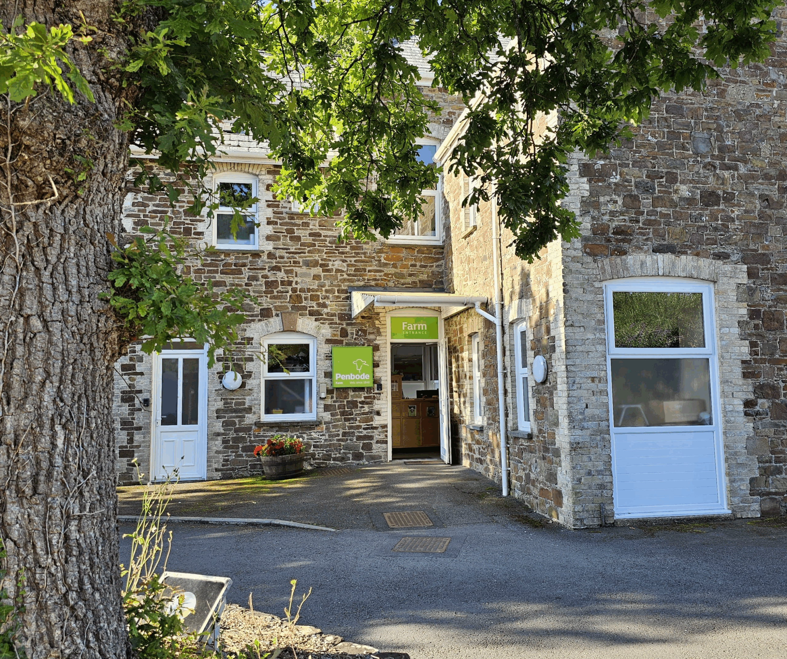 Holsworthy farm