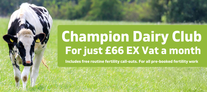 A black and white cow grazes on green grass, with a green banner beside it reading: Champion Dairy Club. For just £66 EX Vat a month. Includes free routine fertility call-outs. For all pre-booked fertility work.