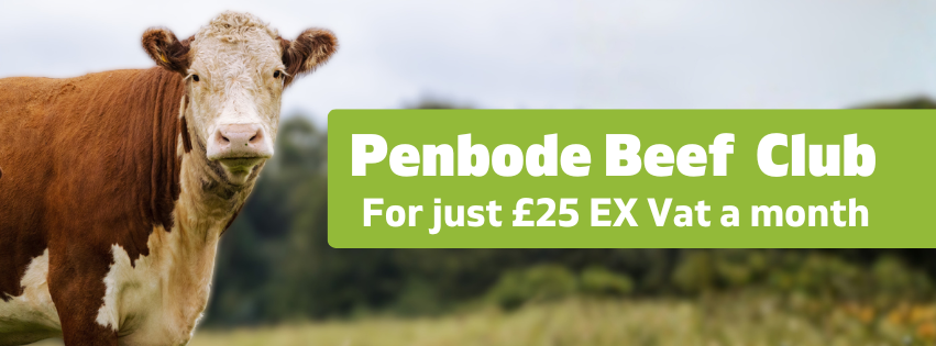 A brown and white cow stands in a grassy field. Beside it, a green banner reads, Penbode Beef Club For just £25 EX Vat a month.