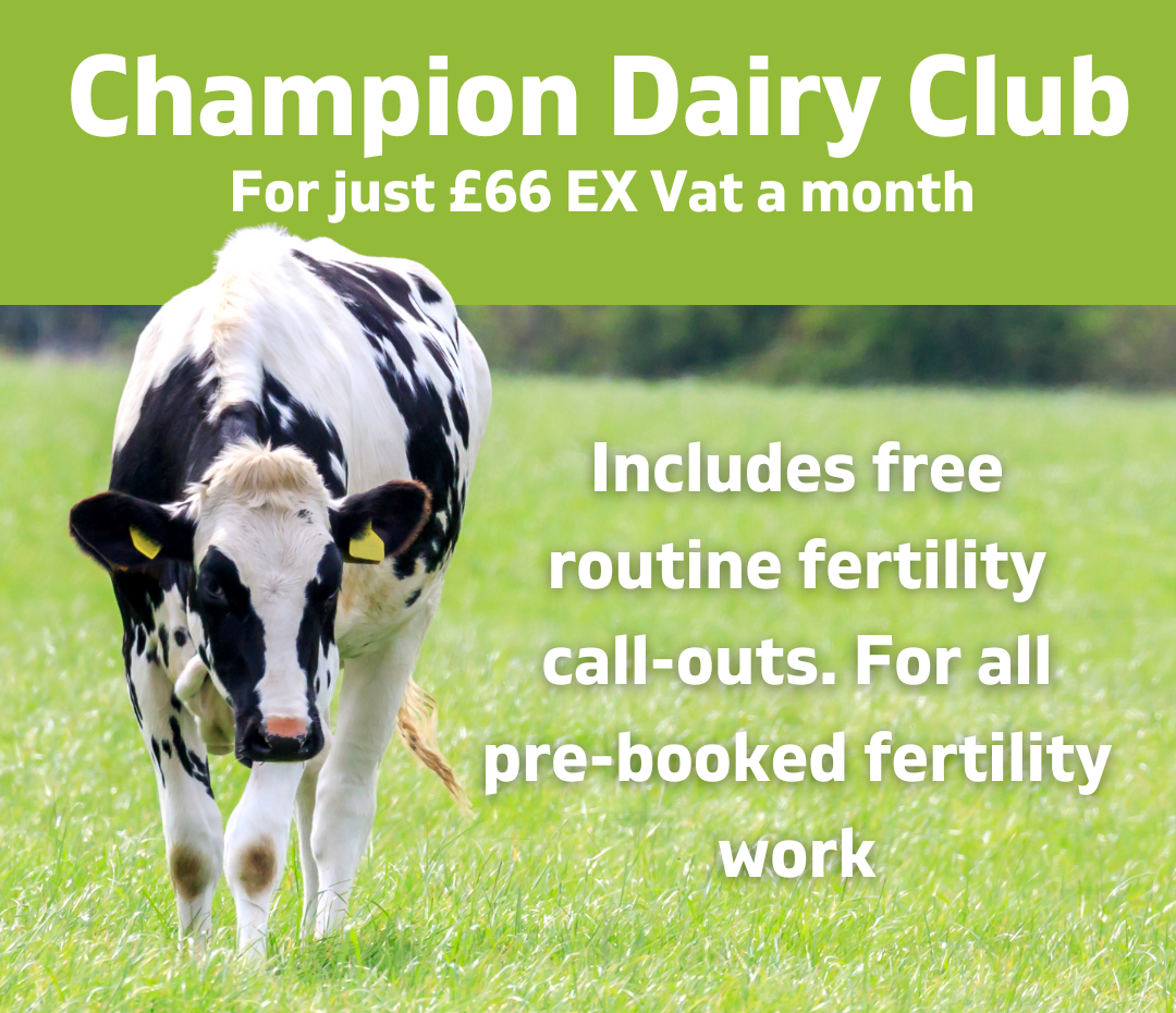 A Holstein cow stands in a grassy field. Text reads: Champion Dairy Club. For just £66 EX Vat a month. Includes free routine fertility call-outs. For all pre-booked fertility work.
