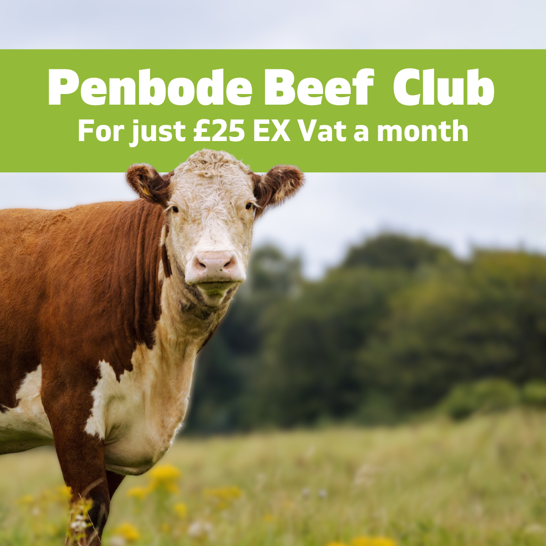 A brown and white cow standing in a grassy field with trees in the background. Text above the cow reads: Penbode Beef Club. For just £25 EX Vat a month.