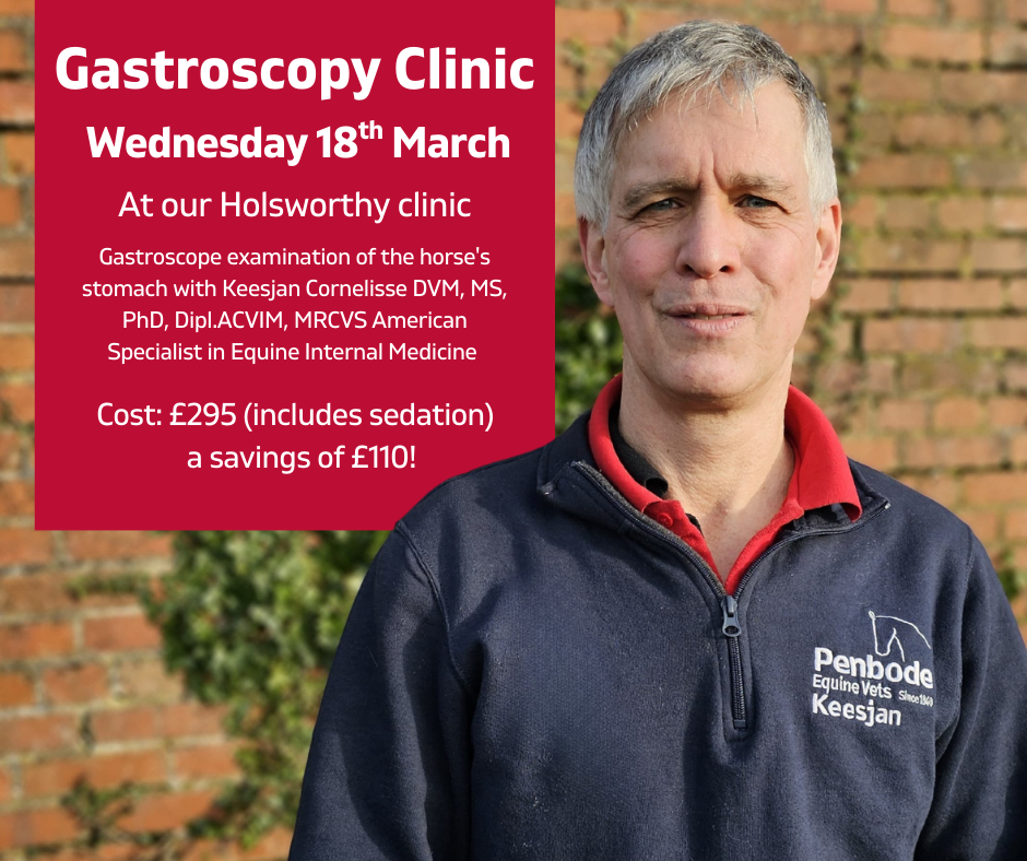 Gastroscopy Clinic (10)