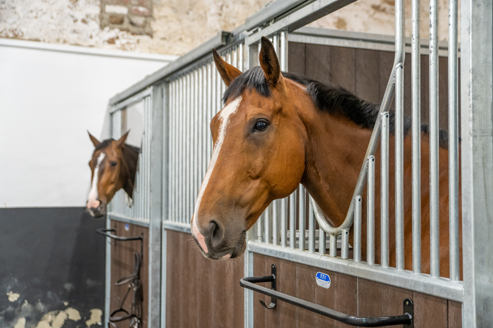 Our 2026 worming scheme